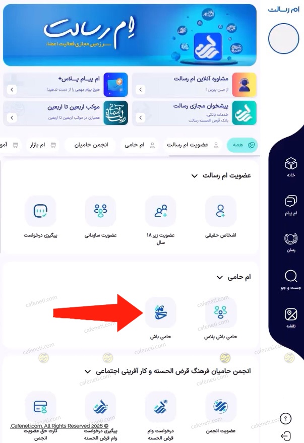 ورود به حامی باش