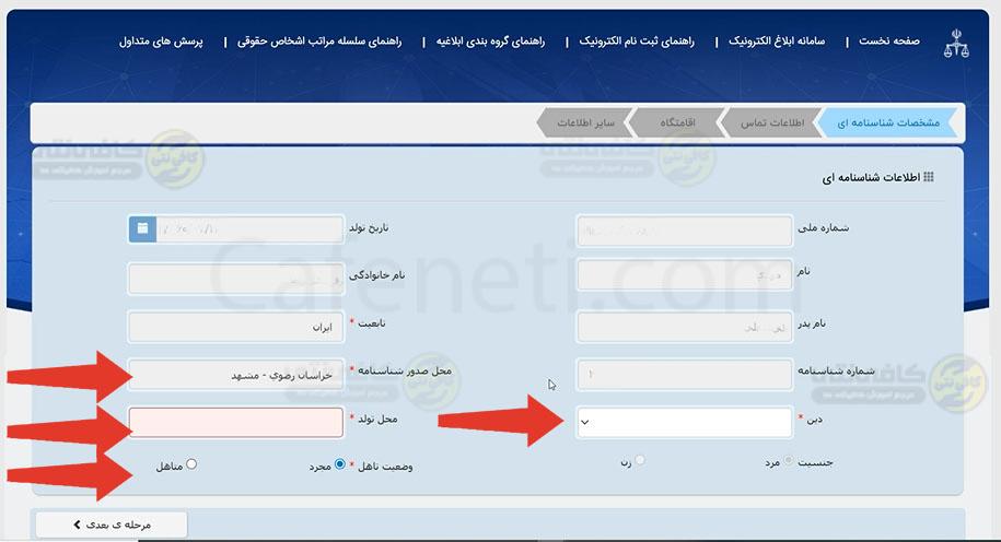 اطلاعات شناسنامه ای دریافت برگه ثنا آنلاین با استفاده از کد ملی