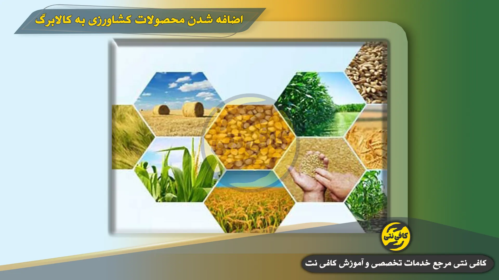 Mahsoolat-Keshavarzi-Kala-Barg | cafeneti